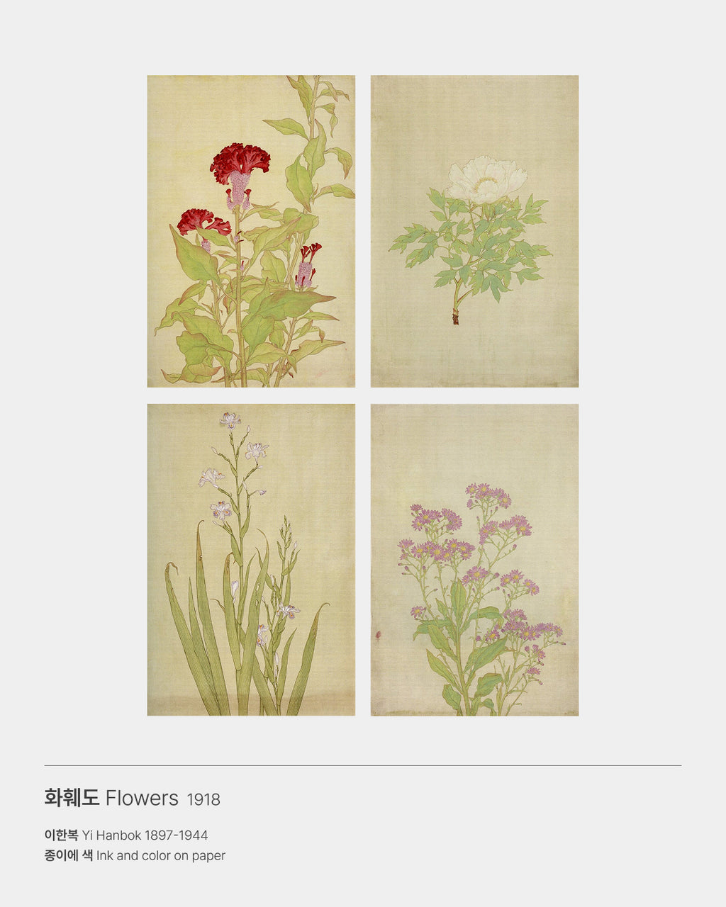 라인초충도 90 오렌지